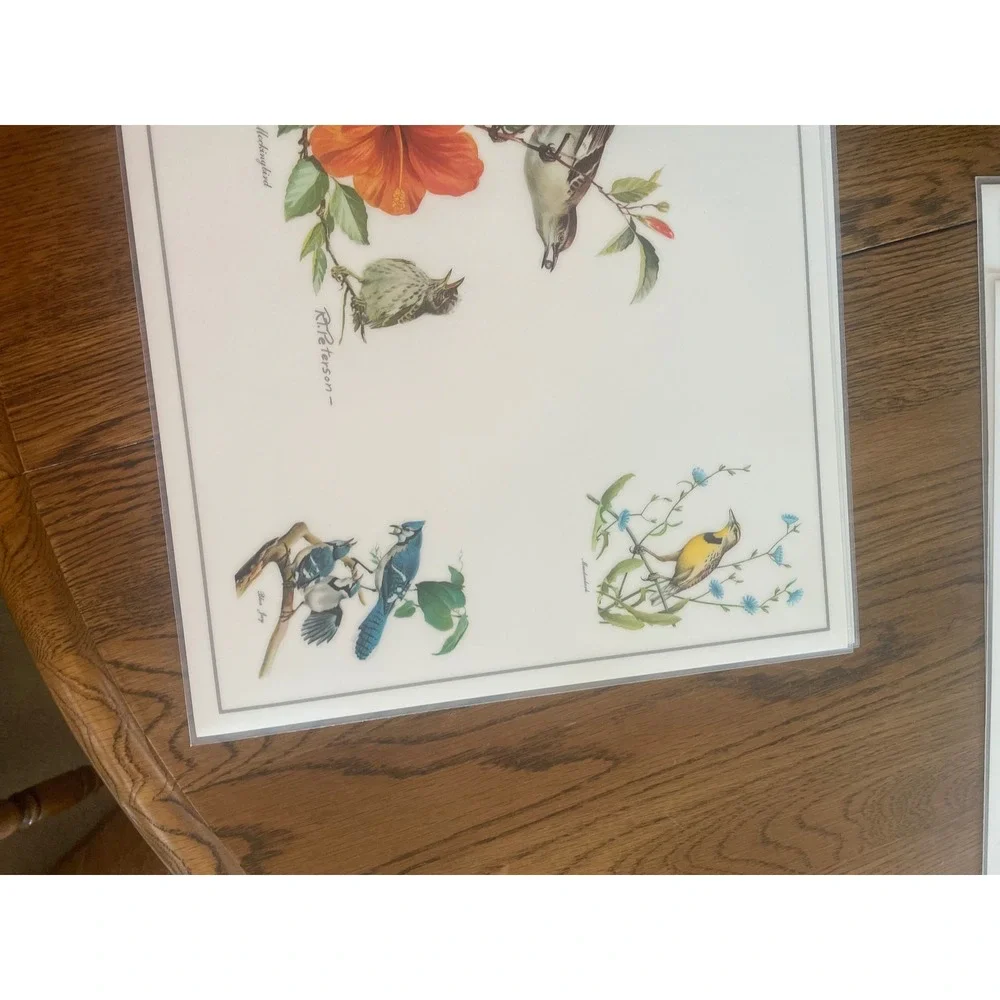 Vintage Roger Tory Peterson Songbird Placemats Set of 6 Nature Bird Art Decor